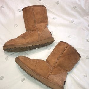 Chestnut Classic Short Ugg Boots